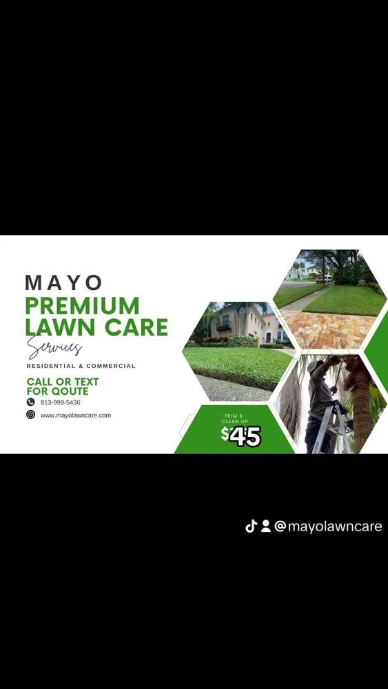 Professional landscape installation for homes in Tampa Bay, FL by Mayo Lawn Care