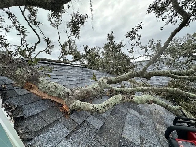 Local yard maintenance for residential properties in Tampa Bay, FL by Mayo Lawn Care