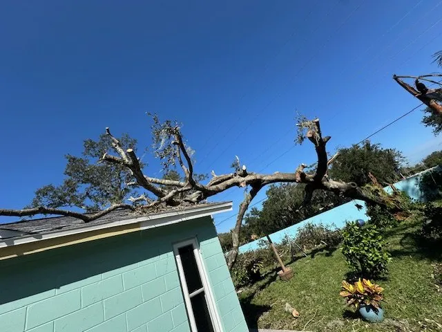 Trusted landscaping services experts serving Tampa Bay, FL - Mayo Lawn Care