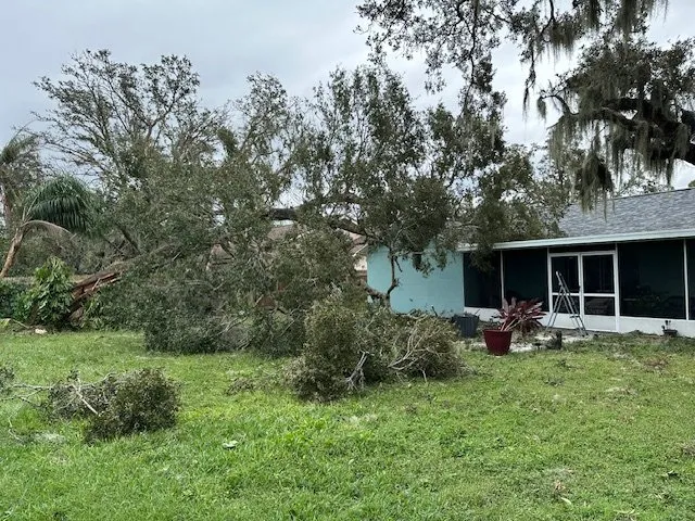 Expert lawn mowing service in Tampa Bay, FL - Mayo Lawn Care