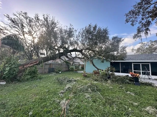 Expert yard cleanup service in Tampa Bay, FL - Mayo Lawn Care