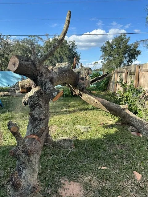 Affordable landscape installation in Tampa Bay, FL by Mayo Lawn Care