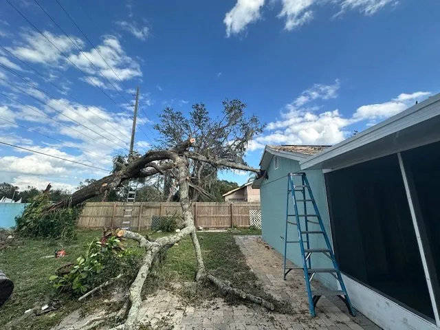Affordable landscape design for year-round maintenance across Tampa Bay, FL - Mayo Lawn Care