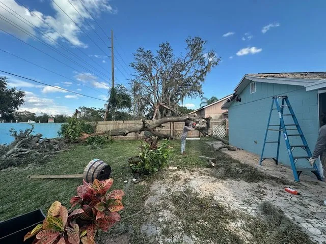 Trusted lawn care service in Tampa Bay, FL by Mayo Lawn Care