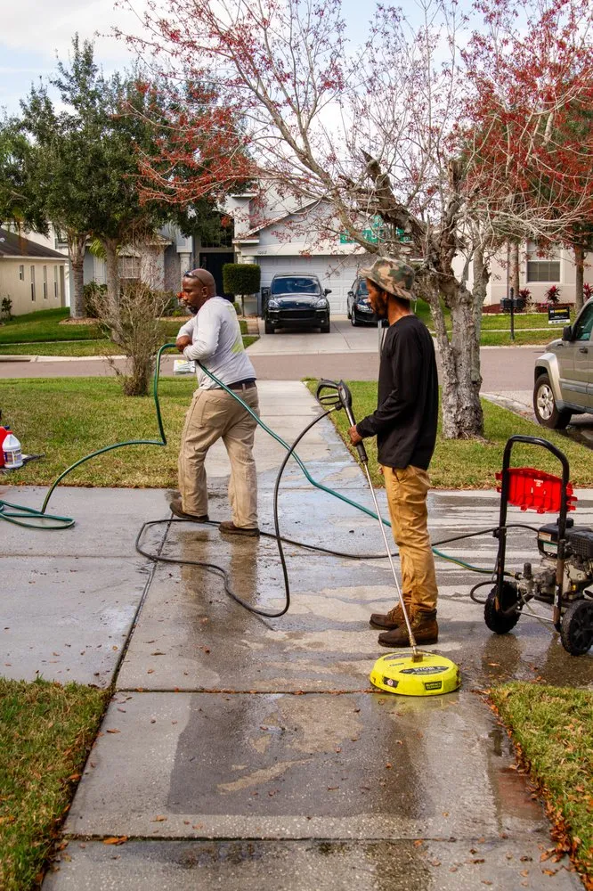 Custom landscape design near you across Tampa Bay, FL - Mayo Lawn Care