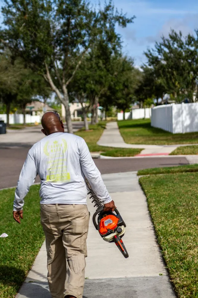Top-rated lawn care service for residential properties across Tampa Bay, FL - Mayo Lawn Care