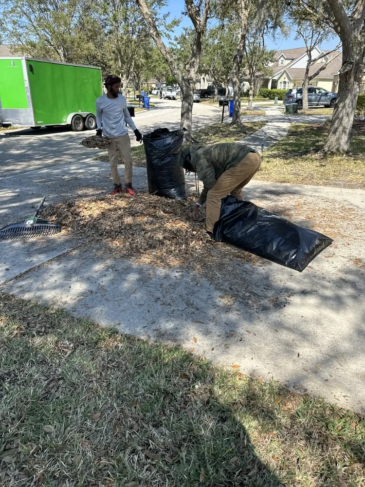 Trusted landscaping services for year-round maintenance in Tampa Bay, FL by Mayo Lawn Care