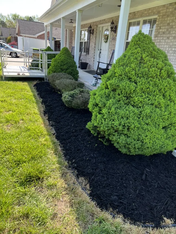 Reliable residential landscaping in Thomasville, NC - Mayor Lawn Care Services