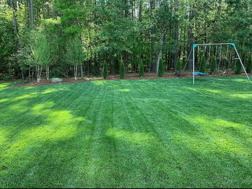 Expert landscaping services near you in Thomasville, NC by Mayor Lawn Care Services