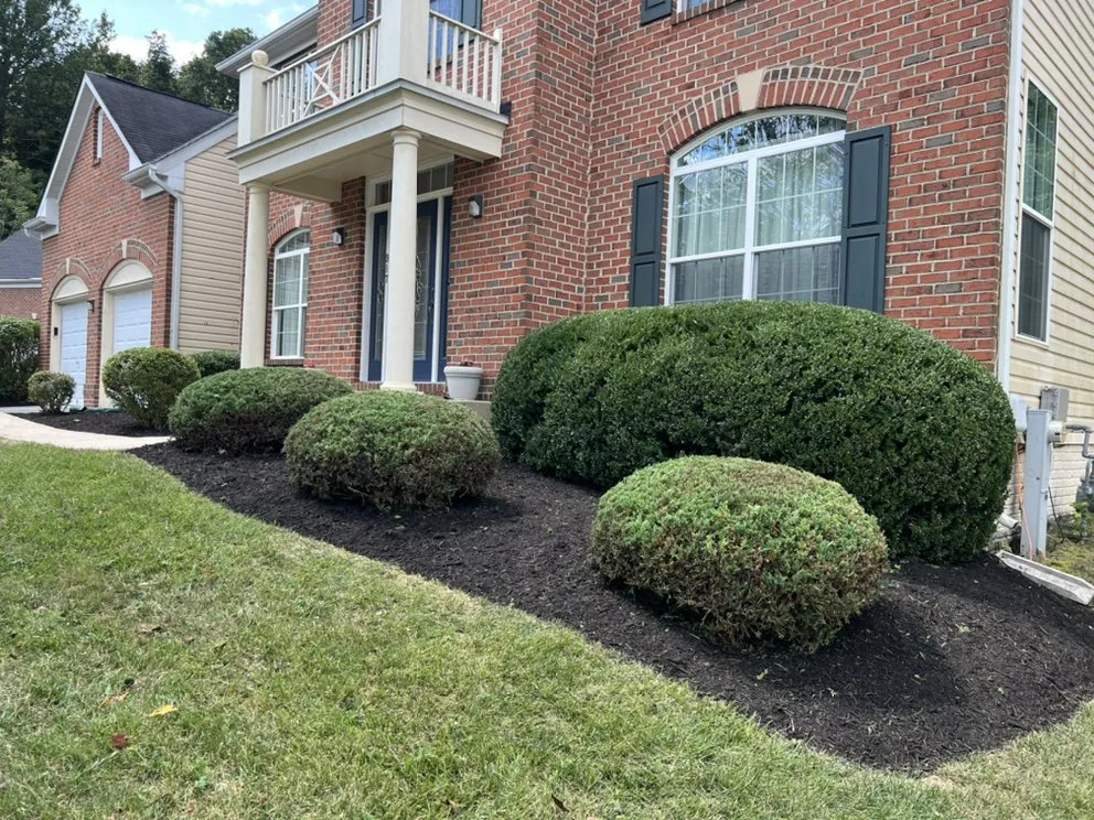 Top-rated landscape installation experts serving Pasadena, MD - Mayorga Landscaping