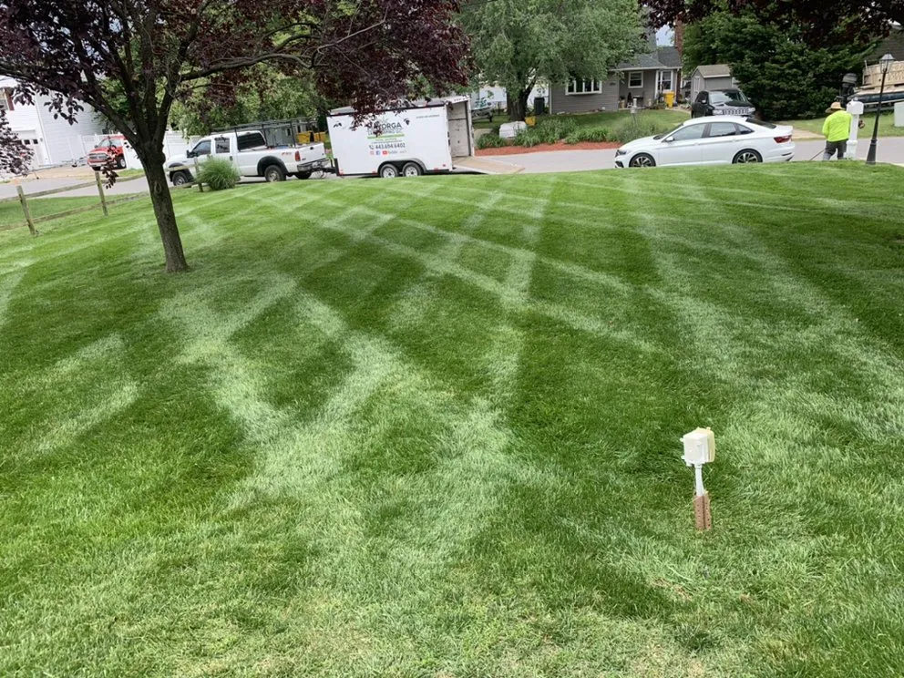 Professional residential landscaping for beautiful yards in Pasadena, MD by Mayorga Landscaping