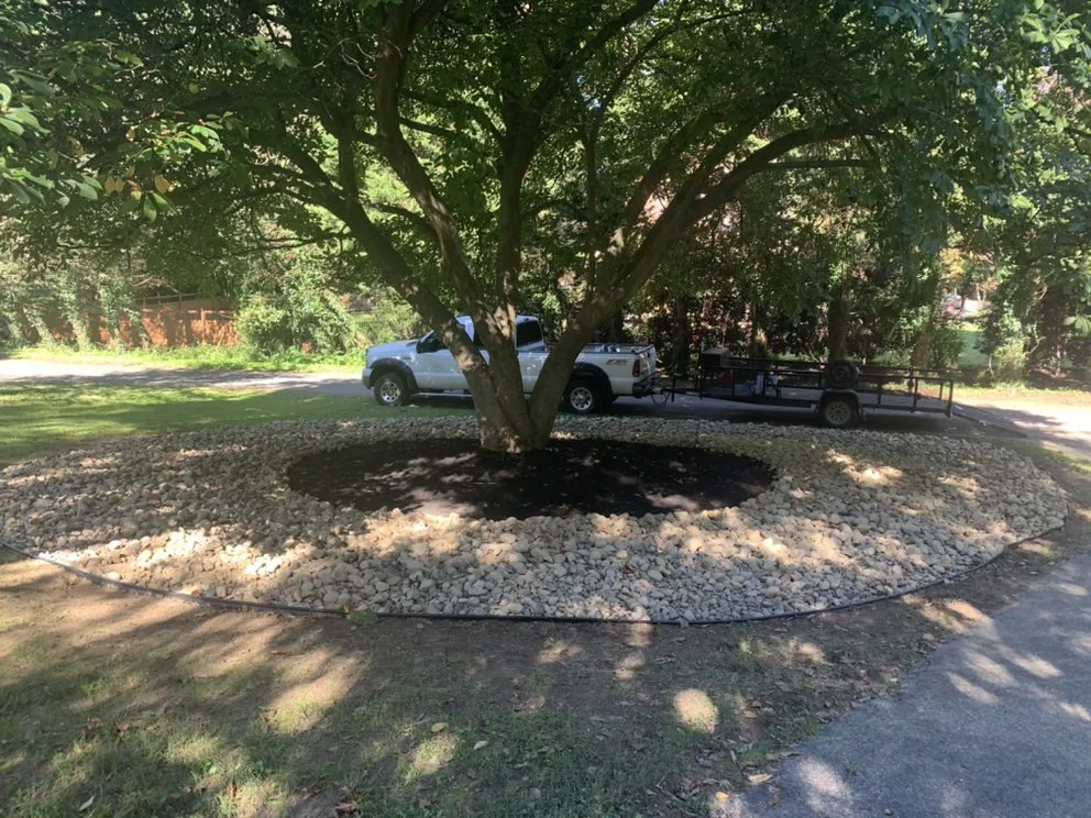 Professional yard cleanup service for beautiful yards across Pasadena, MD - Mayorga Landscaping