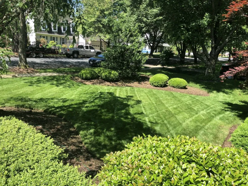 Local outdoor landscaping in Pasadena, MD by Mayorga Landscaping