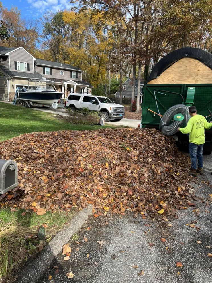 Reliable yard cleanup service for residential properties in Pasadena, MD by Mayorga Landscaping