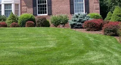Local residential landscaping in Edmond, OK by Mayo’s Lawn Management