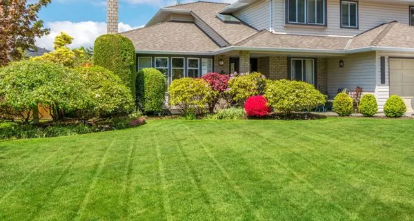 Mayo’s Lawn Management