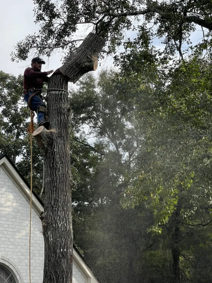 Reliable yard cleanup service experts serving Cleveland, TX - Mayo’s Tree Service and Landscaping