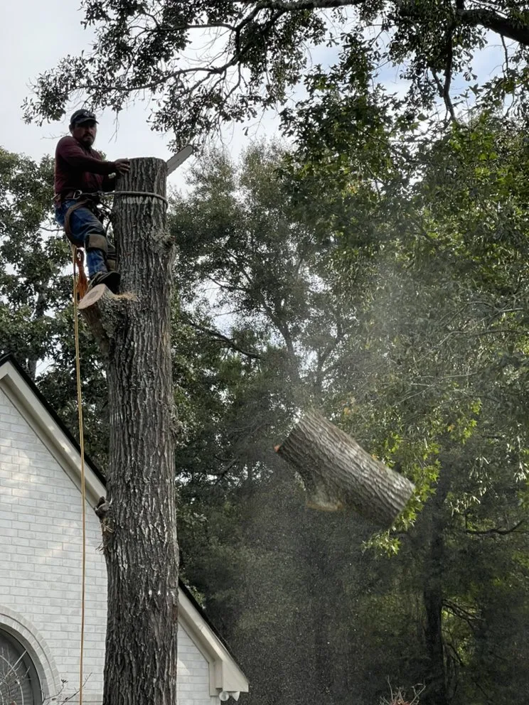 Affordable landscaping services near you across Cleveland, TX - Mayo’s Tree Service and Landscaping