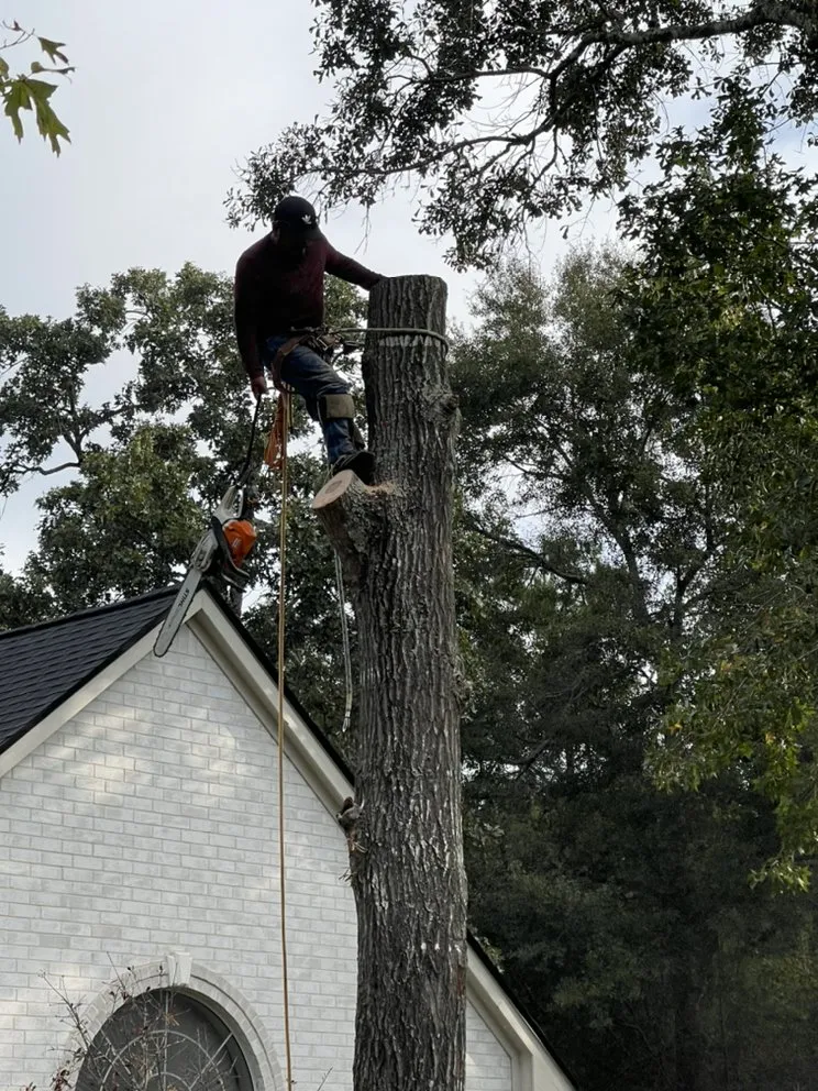 Local lawn care service for outdoor upgrades across Cleveland, TX - Mayo’s Tree Service and Landscaping