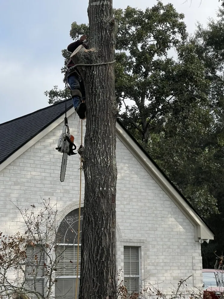 Top-rated landscape installation in Cleveland, TX - Mayo’s Tree Service and Landscaping