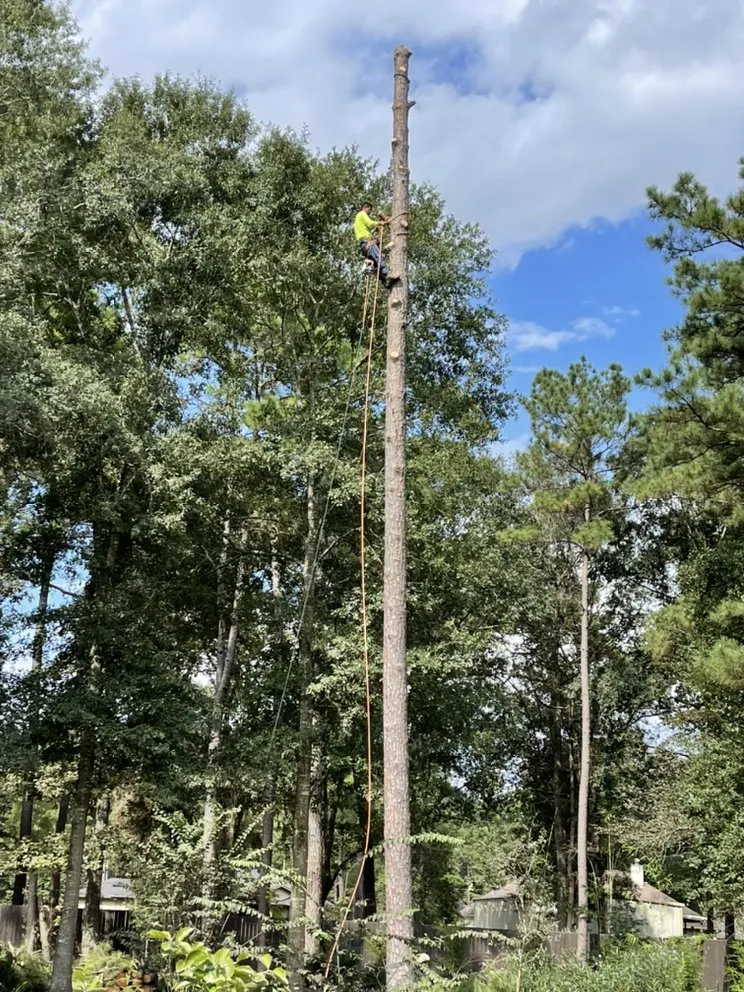 Professional residential landscaping experts serving Cleveland, TX - Mayo’s Tree Service and Landscaping