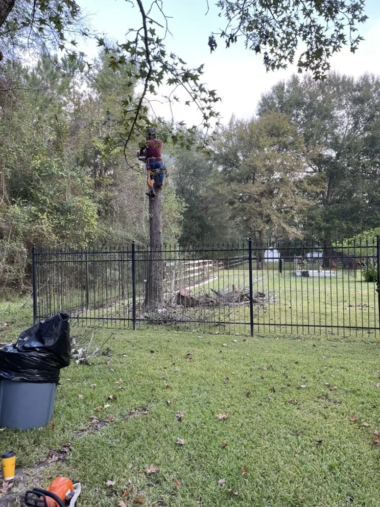 Reliable lawn mowing service in Cleveland, TX by Mayo’s Tree Service and Landscaping