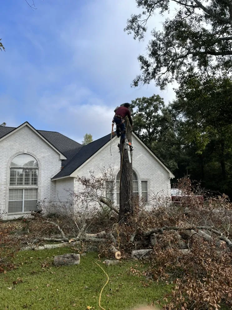 Local landscape installation in Cleveland, TX by Mayo’s Tree Service and Landscaping