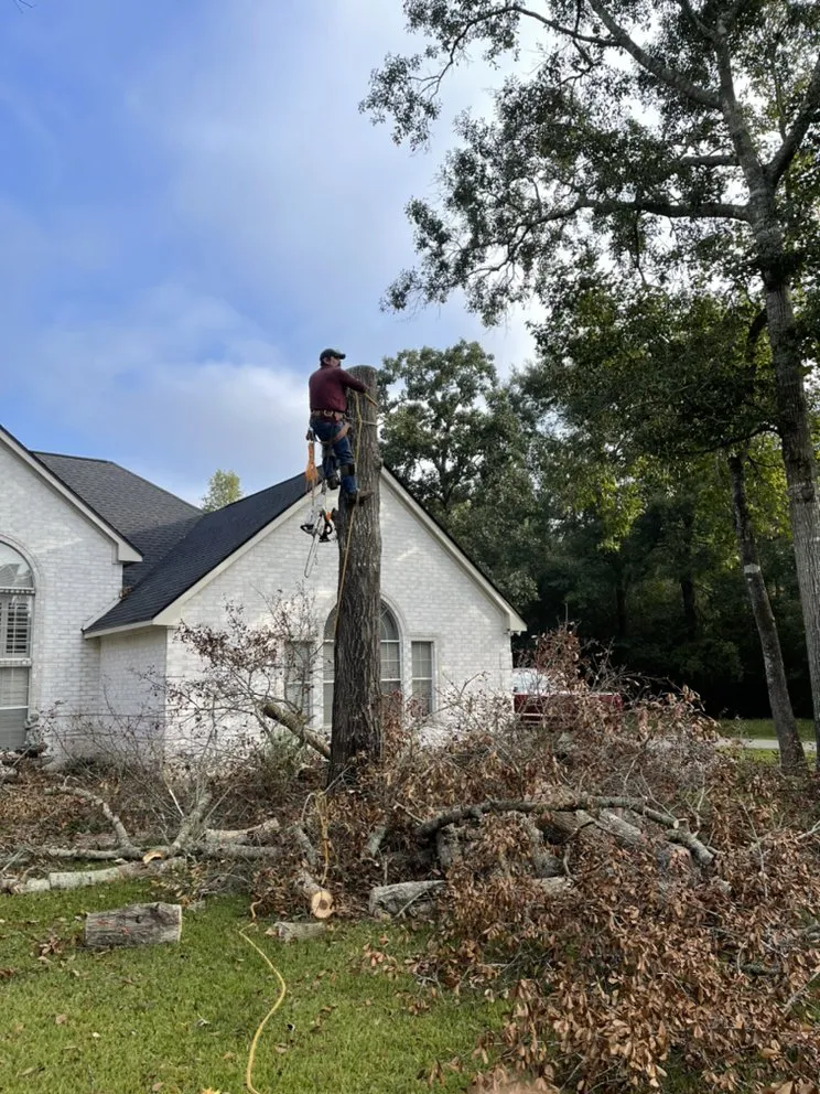 Professional yard maintenance near you in Cleveland, TX by Mayo’s Tree Service and Landscaping