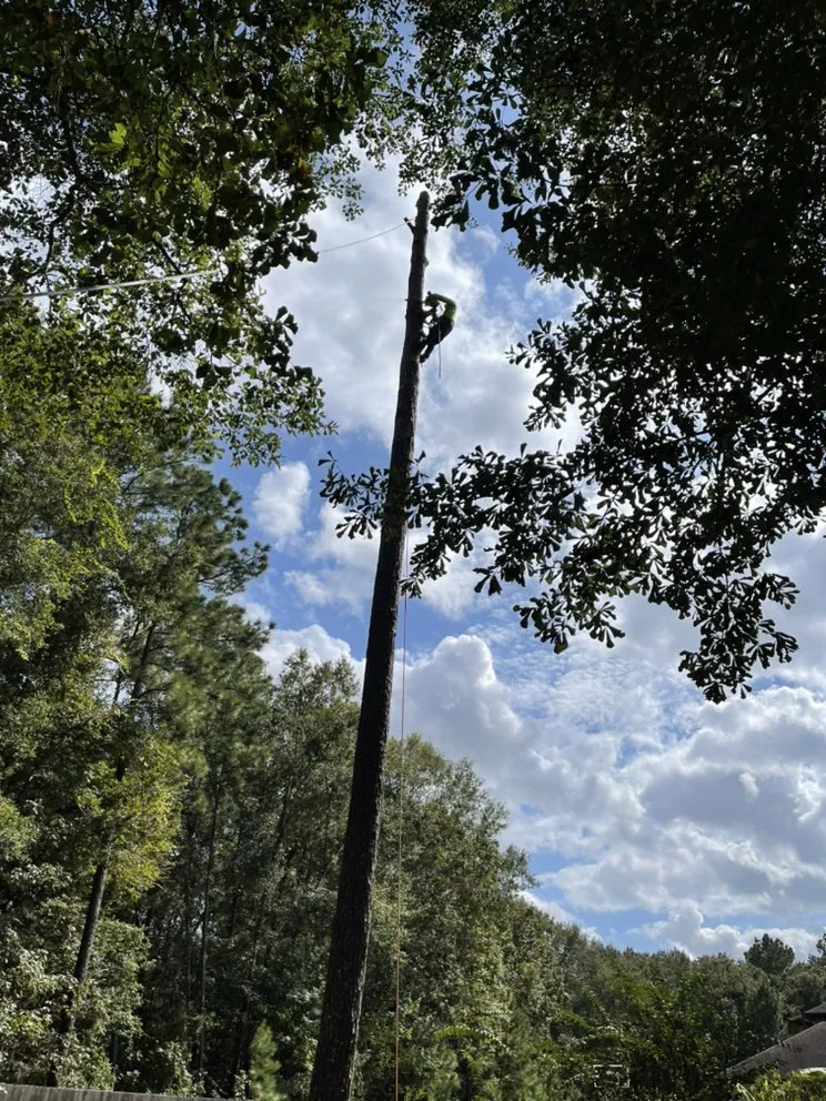 Custom yard cleanup service for residential properties in Cleveland, TX by Mayo’s Tree Service and Landscaping