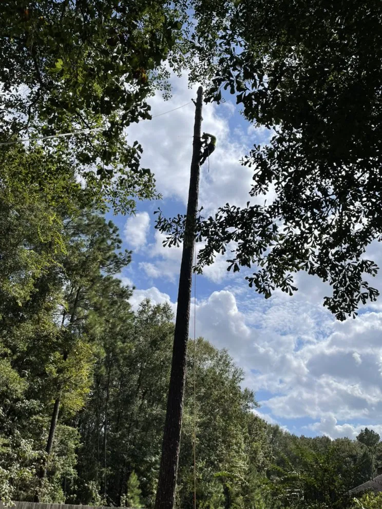 Trusted landscape design in Cleveland, TX by Mayo’s Tree Service and Landscaping