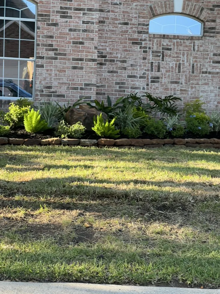 Top-rated yard cleanup service experts serving Cleveland, TX - Mayo’s Tree Service and Landscaping