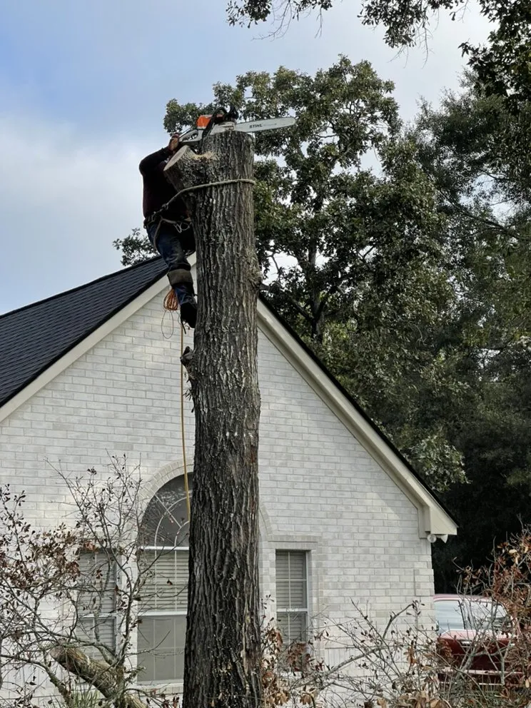 Trusted yard cleanup service in Cleveland, TX - Mayo’s Tree Service and Landscaping