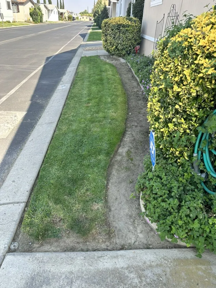 Local landscape installation in Winton, CA - Mays & Son