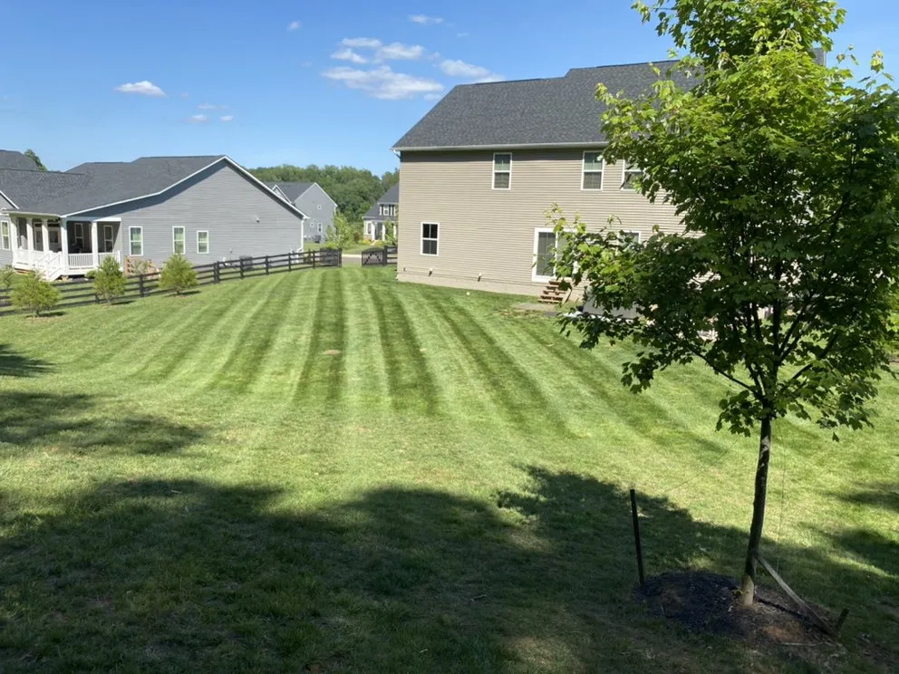 Affordable landscape installation near you in Reston, VA by May’s Landscaping