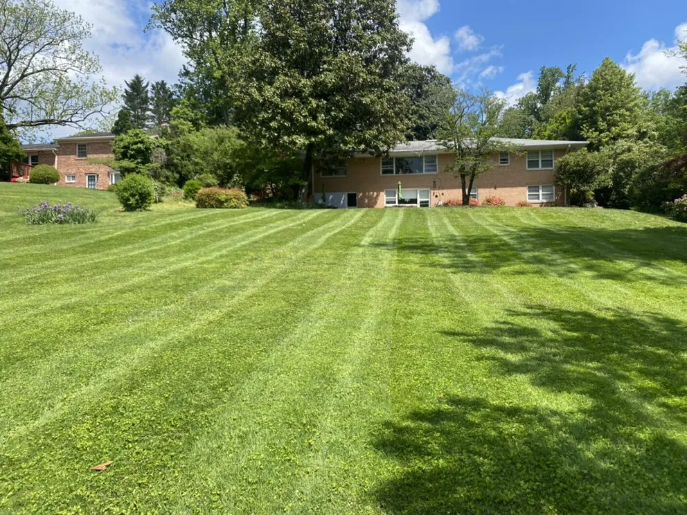 Local yard maintenance in Reston, VA - May’s Landscaping