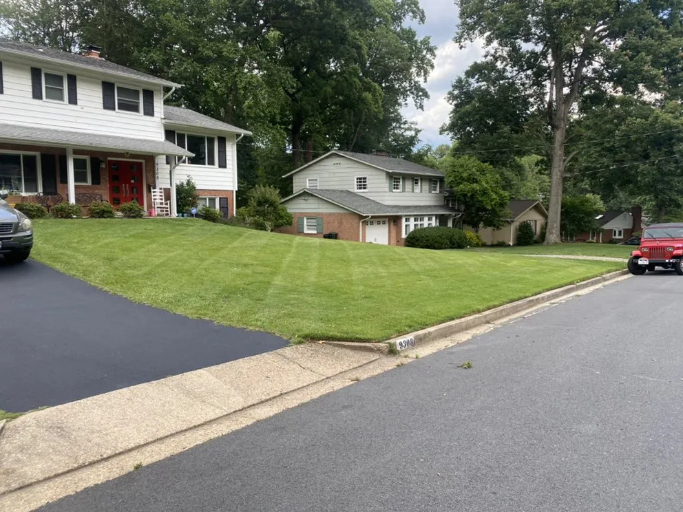 Affordable yard cleanup service in Reston, VA by May’s Landscaping