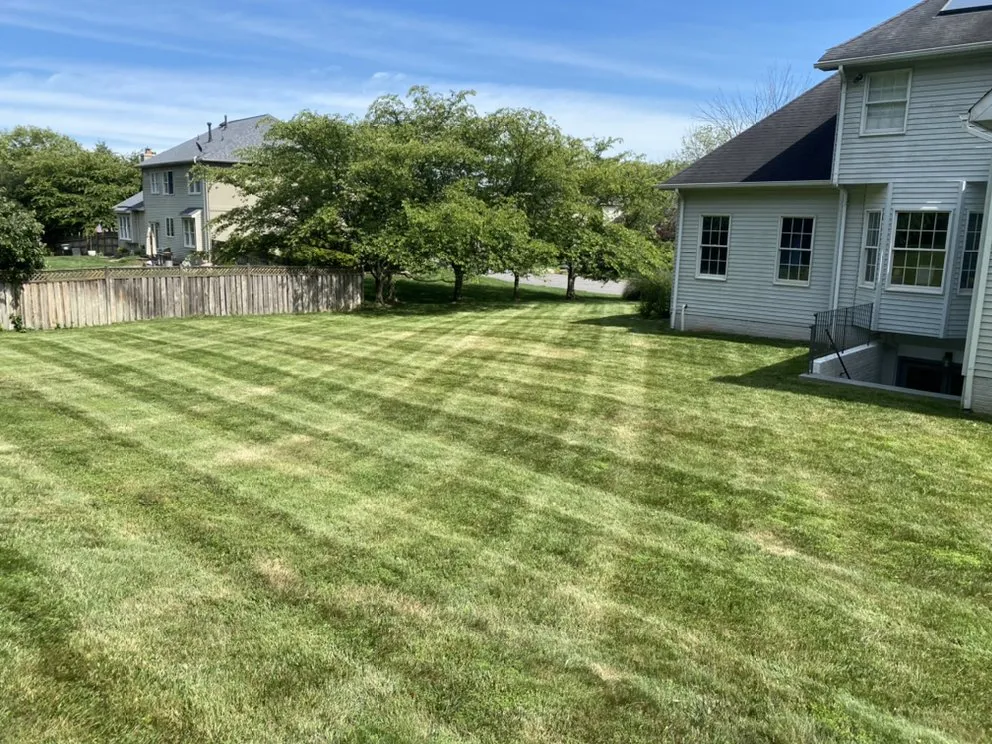 Expert landscape design experts serving Reston, VA - May’s Landscaping