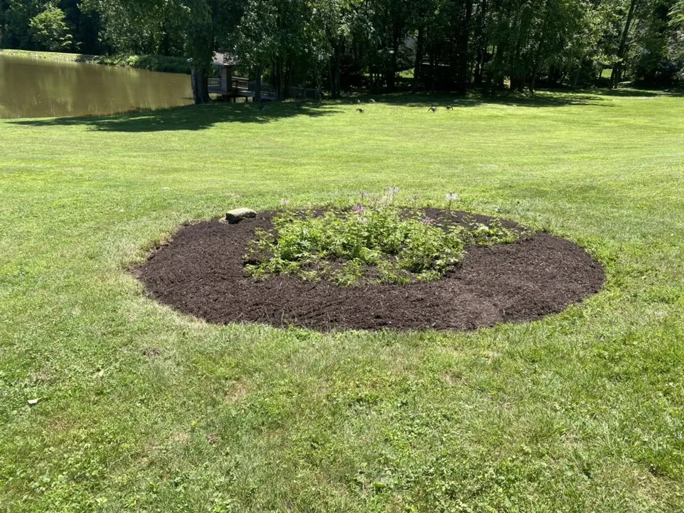 Trusted landscape design for homes across Reston, VA - May’s Landscaping