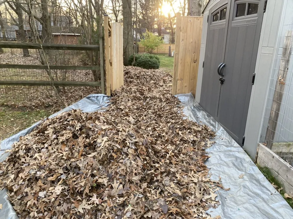 Affordable landscaping services in Reston, VA by May’s Landscaping