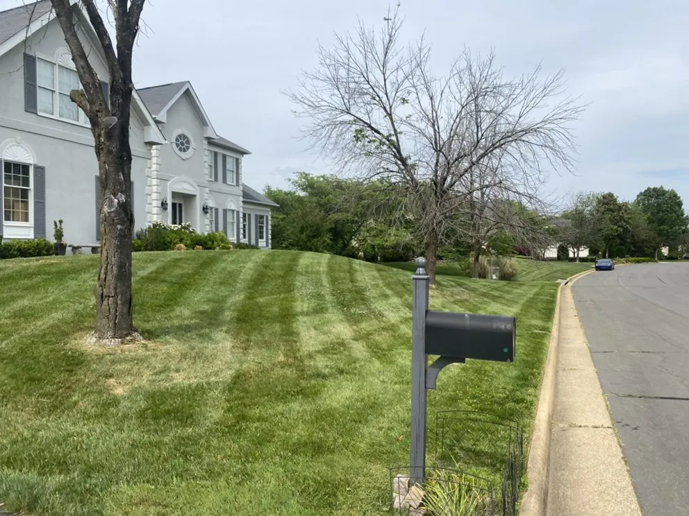 Expert lawn care service in Reston, VA - May’s Landscaping