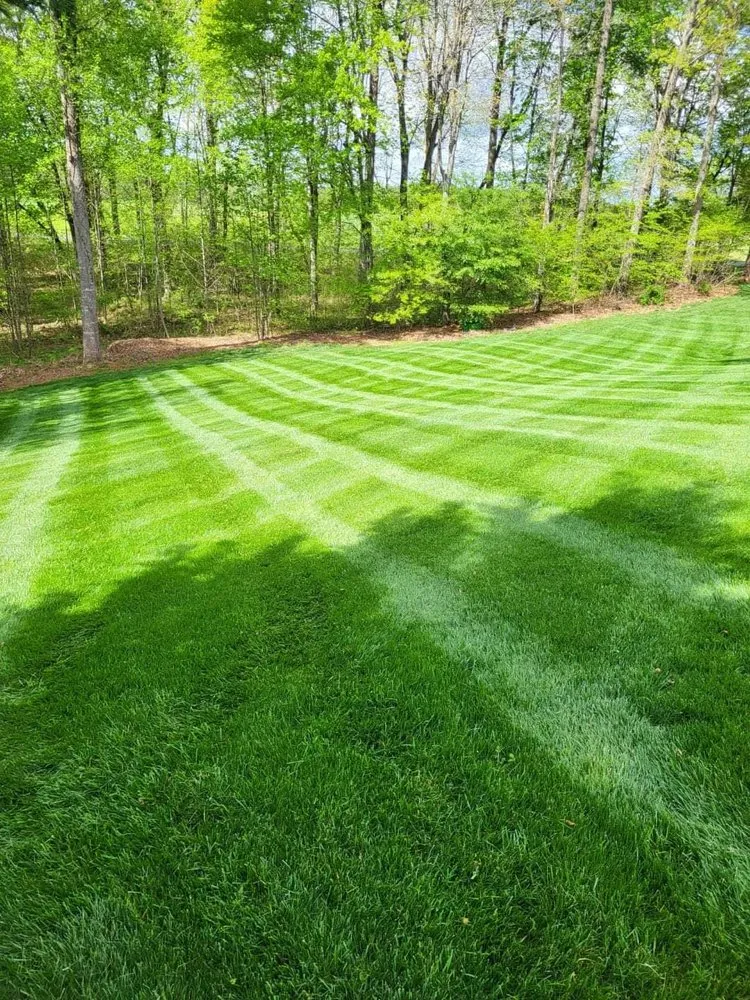 Custom yard maintenance in Appomattox, VA by May's Lawn Care