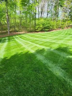May's Lawn Care
