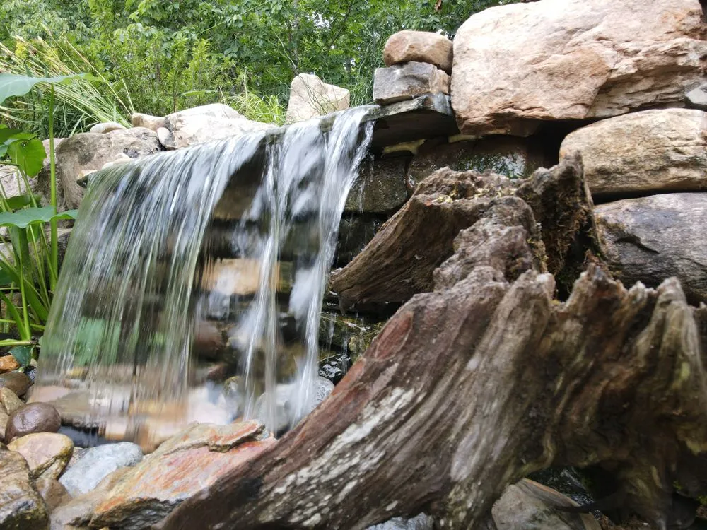 Reliable residential landscaping experts serving Burlington, NC - May's Lawn Care