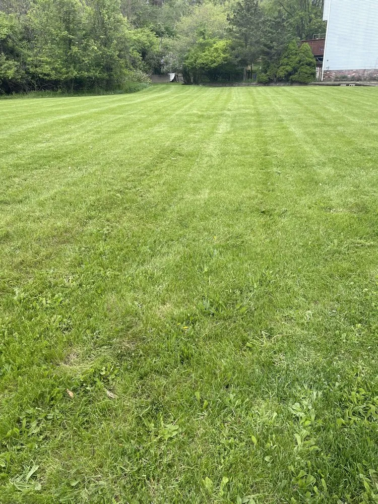 Top-rated landscape installation for beautiful yards across Oakdale, PA - May's Lawn Care