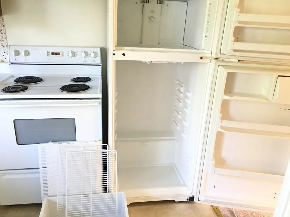 Affordable landscape installation in Elmira, NY - Maysie May Cleaning and Lawn Care