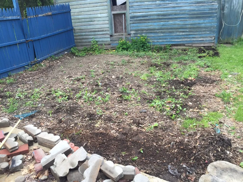 Expert lawn mowing service in Elmira, NY - Maysie May Cleaning and Lawn Care