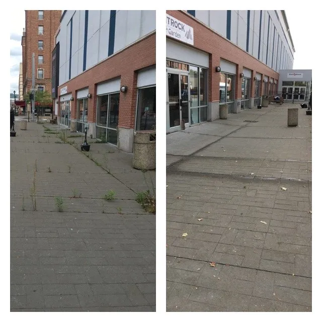 Reliable lawn care service in Elmira, NY - Maysie May Cleaning and Lawn Care