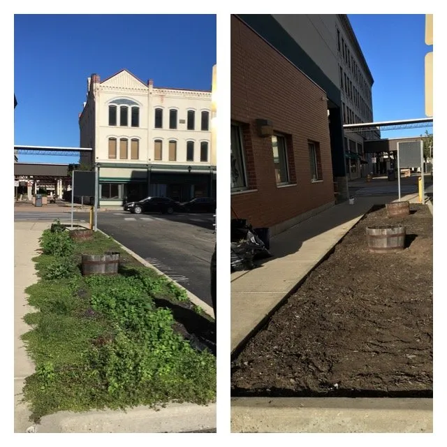 Professional residential landscaping in Elmira, NY - Maysie May Cleaning and Lawn Care