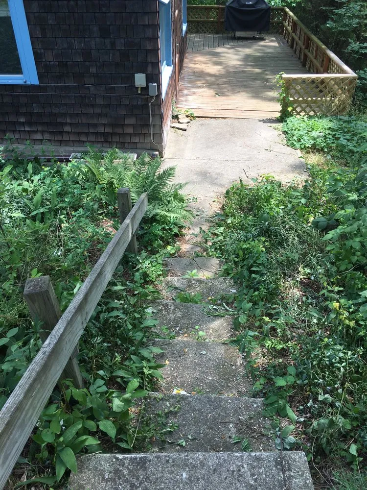 Trusted lawn mowing service in Elmira, NY by Maysie May Cleaning and Lawn Care