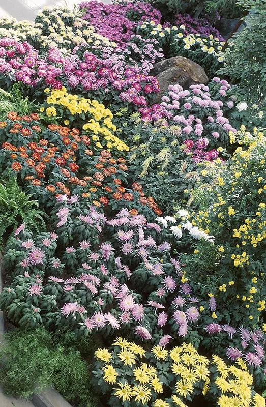 Custom landscape installation in Homestead, FL by Maysonet Landscaping Co.